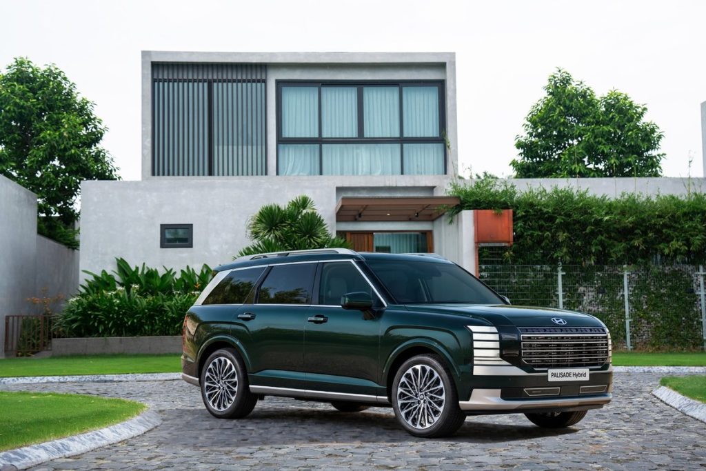 Palisade Hybrid màu xanh đậm trên nền sân đá